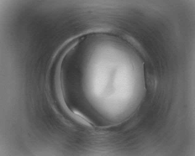 X0000081300676200702082045