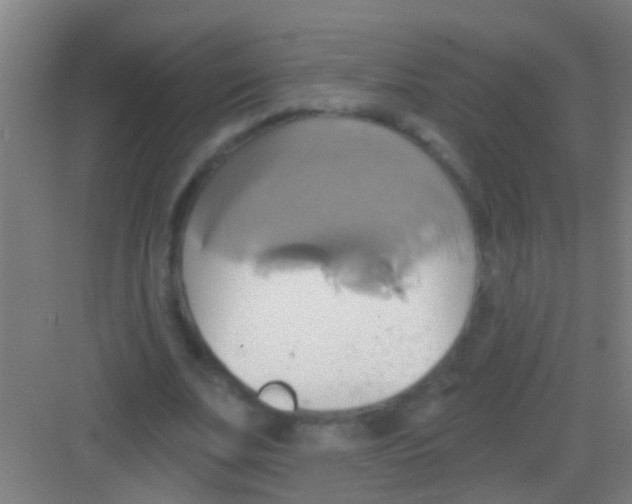 X0000081300679200702082045