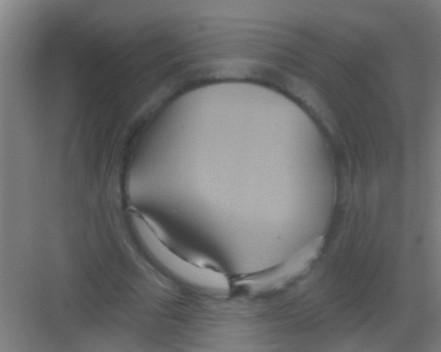 X0000081300681200702082045