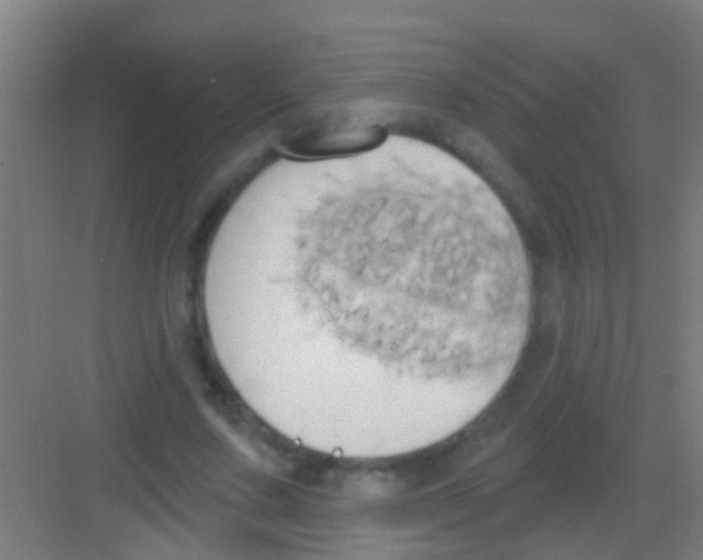 X0000081300683200702082045