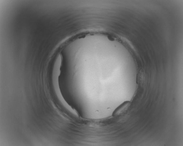 X0000081300684200702082045