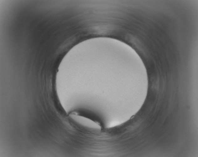 X0000081300685200702082045