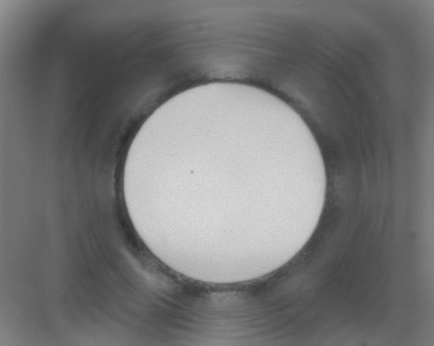 X0000081300686200702082045