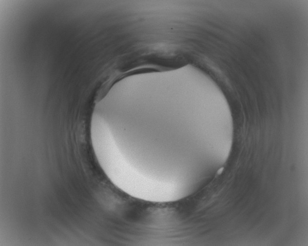 X0000081300689200702082045