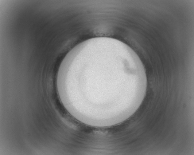 X0000081300690200702082045