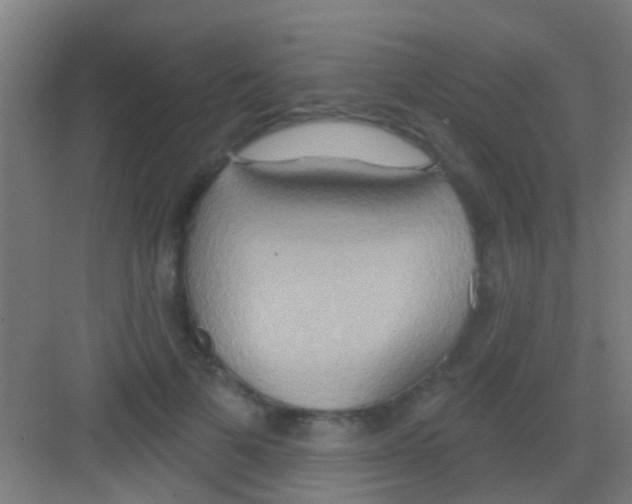 X0000081300697200702082045