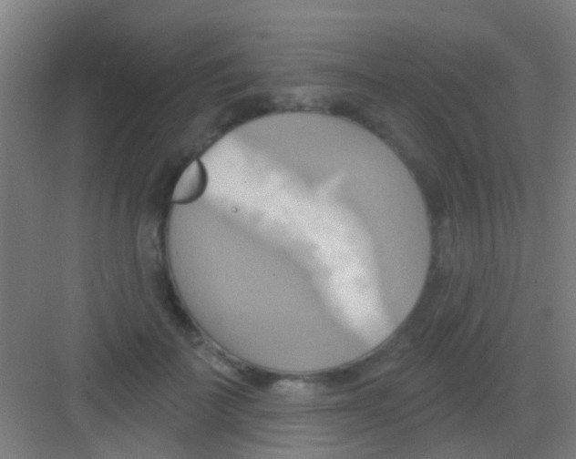 X0000081300699200702082045