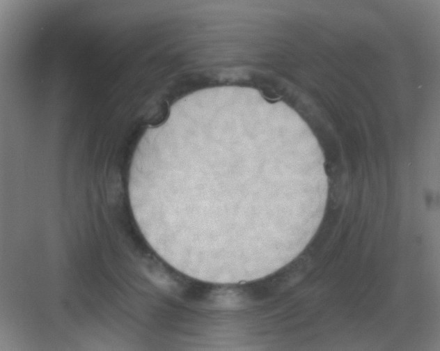 X0000081300704200702082044