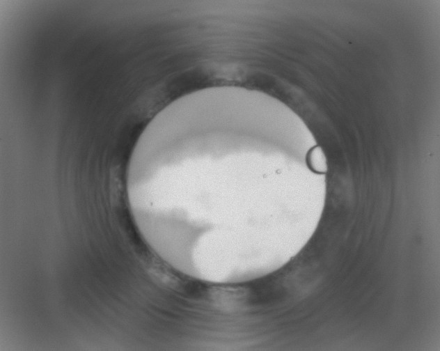 X0000081300707200702082044