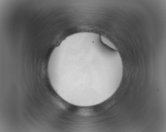 X0000081300708200702082044