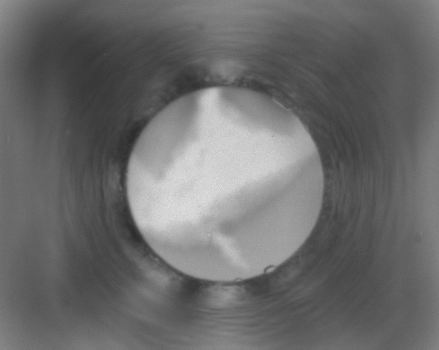 X0000081300711200702082044