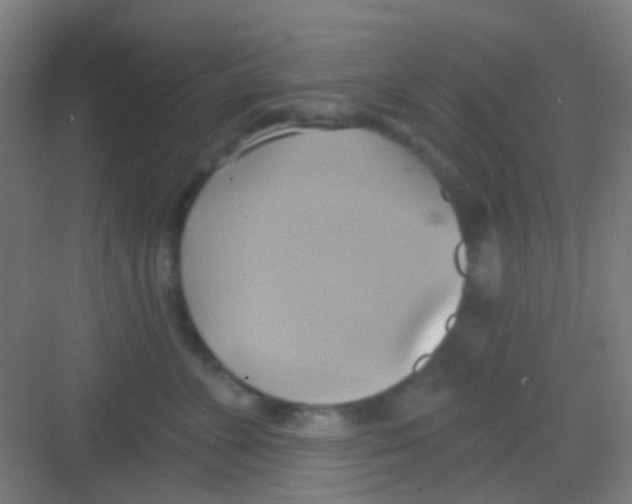 X0000081300715200702082044