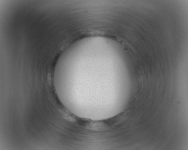 X0000081300716200702082044