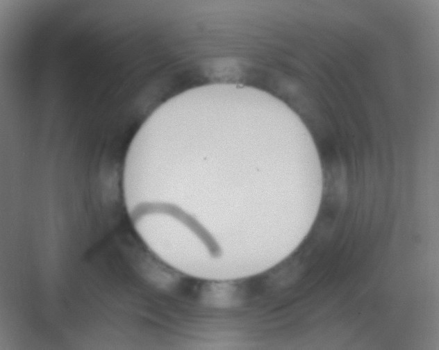 X0000081300717200702082044