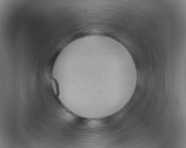 X0000081300718200702082044