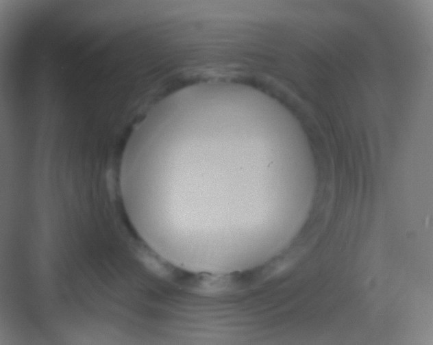 X0000081300720200702082044