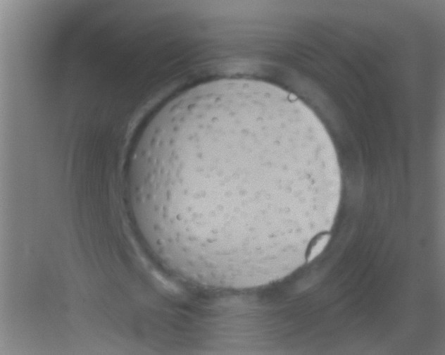 X0000081300721200702082043