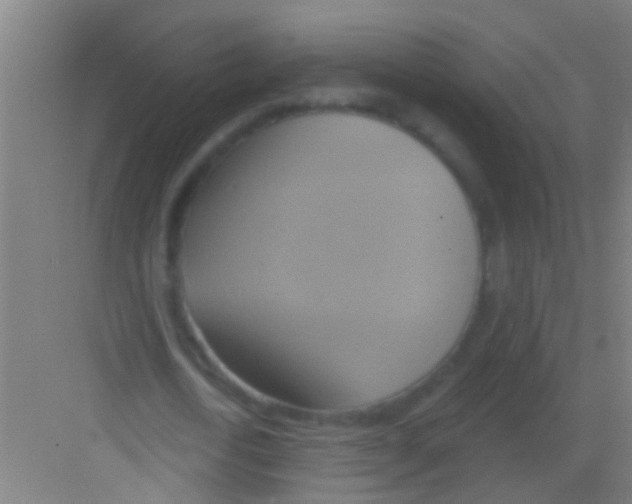 X0000081300722200702082043