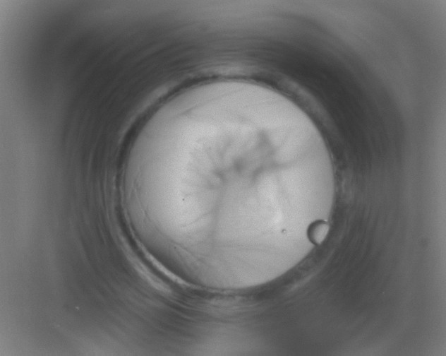 X0000081300725200702082043