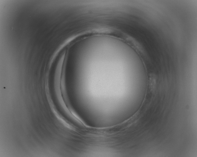 X0000081300726200702082043