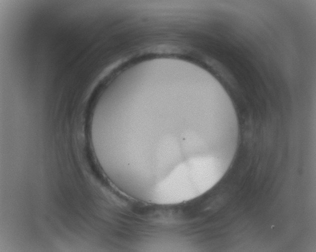 X0000081300727200702082044