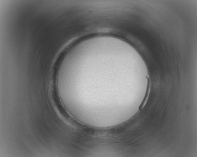 X0000081300728200702082044