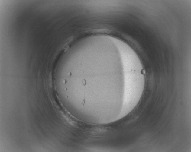 X0000081300729200702082044