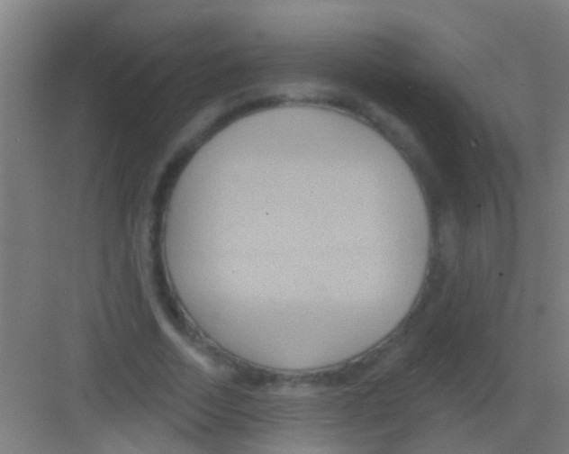 X0000081300730200702082044