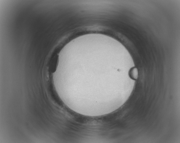 X0000081300731200702082044