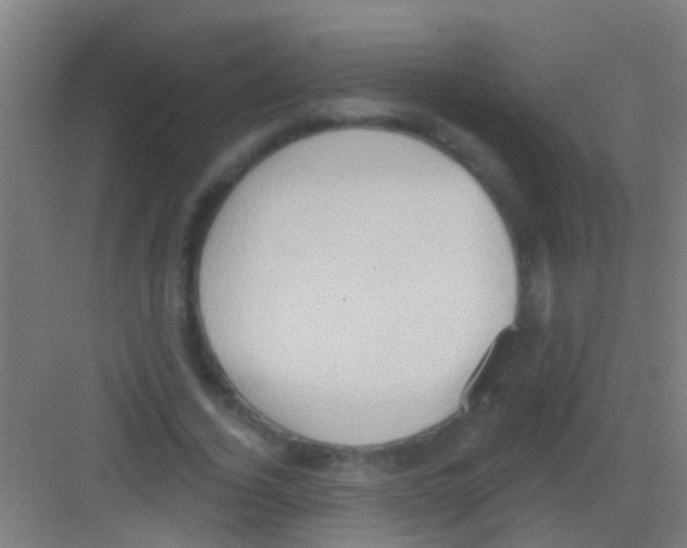 X0000081300732200702082044