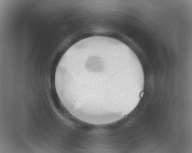 X0000081300734200702082044