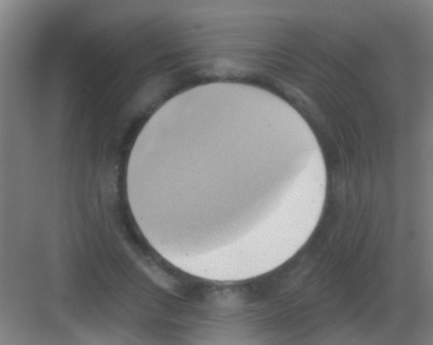 X0000081300735200702082044