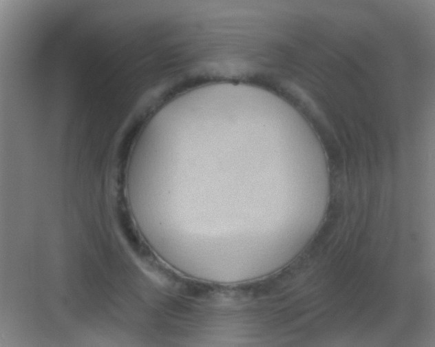 X0000081300736200702082044