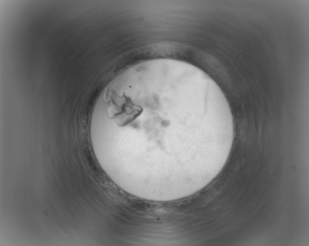 X0000081300737200702082044