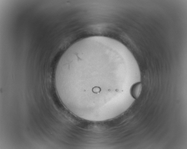 X0000081300739200702082044