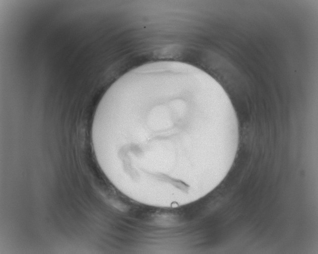 X0000081300741200702082044