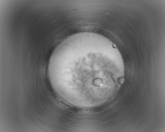 X0000081300745200702082044