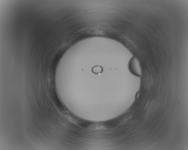 X0000081300747200702082044