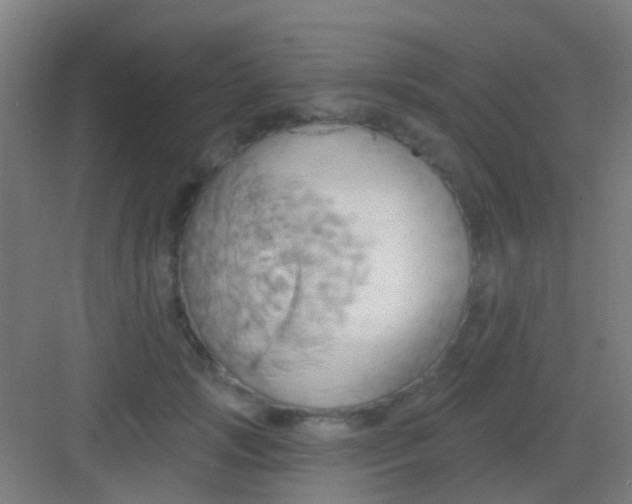 X0000081300749200702082044