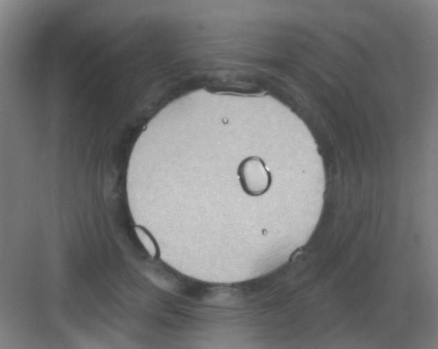 X0000081300750200702082044