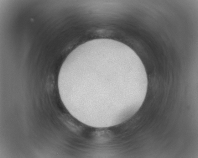 X0000081300752200702082044