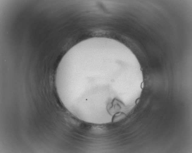 X0000081300753200702082044