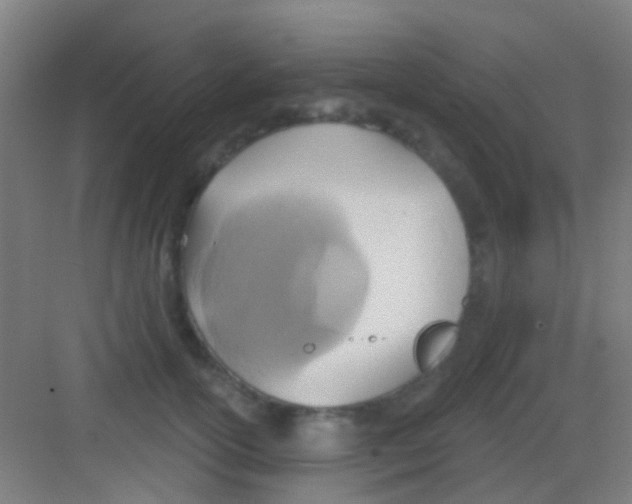 X0000081300754200702082044