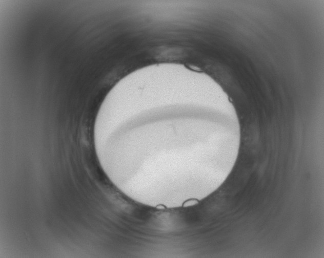 X0000081300755200702082044