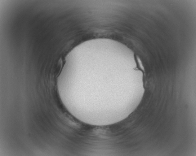 X0000081300756200702082044