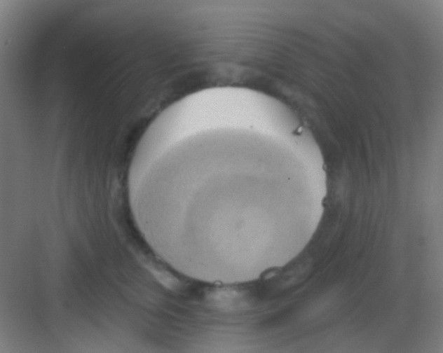 X0000081300759200702082044