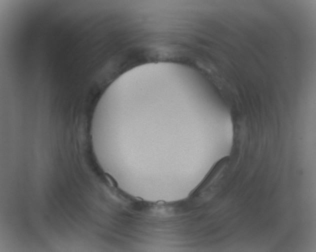 X0000081300760200702082044