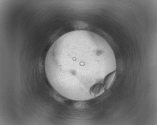 X0000081300761200702082044