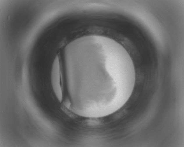 X0000081300765200702082044