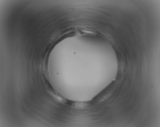 X0000081300766200702082044